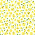Watercolor seamless floral pattern on white background. Wild yellow flowers with green leaves on white background