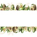Watercolor seamless golden border with linear avocado and leaves. Hand painted tropical fruits composition isolated on