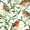 Watercolor seamless greeting pattern with cute Robin birds and mistletoe berry. New Year. Celebration illustration. Merry Christma