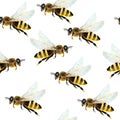 Watercolor seamless hand drawn pattern with bumble bees, nature natural insects, summer vibes modern design. Honeycomb