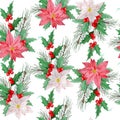 Watercolor seamless hand drawn pattern with pink red poinsettia flower, Christmas star plant conifer pine spruce Royalty Free Stock Photo