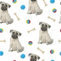 Watercolor seamless hand drawn pattern with pugs dogs breed isolated on white background. Funny cute cartoon pet animals Royalty Free Stock Photo