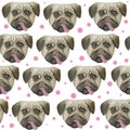 Watercolor seamless hand drawn pattern with pugs dogs breed isolated on white background. Funny cute cartoon pet animals