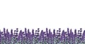 Watercolor seamless lavender border. Border of lavender