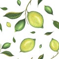 Watercolor seamless lime pattern with green lemons and lime branch with leaves. Hand painted yellow fruits isolated on Royalty Free Stock Photo