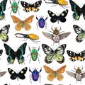 Watercolor seamless pattern with amazing tropical exotic butterflies and beetles.