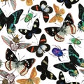 Watercolor seamless pattern with amazing tropical exotic butterflies and beetles.