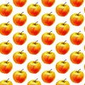 Watercolor seamless pattern with apples on the white background. Vector illustration. Hand drawn background Royalty Free Stock Photo