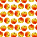 Watercolor seamless pattern with apples on the white background. Vector illustration. Hand drawn background Royalty Free Stock Photo