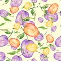 Watercolor seamless pattern. Apricot on a branch. Fruit plum, cherry plum, peach. Beautiful background for fabric, packaging, shaw