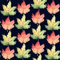 Watercolor seamless pattern autumn floral forest. Hand draw leaves