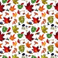 Watercolor seamless pattern with autumn green and yellow maple leaves, snails, acorns on white background. Royalty Free Stock Photo