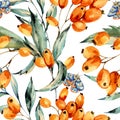 Watercolor seamless pattern with autumn orange berries and blue moth