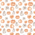 Watercolor seamless pattern with autumn pumpkins, orange and white on a white background