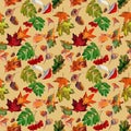 Watercolor seamless pattern with autumn red rowan, yellow maple foliage, oak leaves, acorns on beige background. Royalty Free Stock Photo