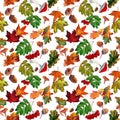 Watercolor seamless pattern with autumn red rowan, yellow maple foliage, oak leaves, acorns on white background. Royalty Free Stock Photo