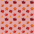 Watercolor seamless pattern with autumn red and yellow maple foliage on pink background. Royalty Free Stock Photo