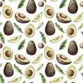 Watercolor seamless pattern with avocado, leaves and slice. Hand painted tropical fruit and leaves isolated on white background.