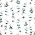 Watercolor seamless pattern with baby blue eucalyptus. Hand painted eucalyptus round leaves and branch isolated on white Royalty Free Stock Photo