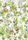 Watercolor seamless pattern, background with a floral pattern. Beautiful vintage drawings of plants, flowers,willow branch, berry Royalty Free Stock Photo