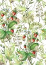 Watercolor seamless pattern, background with a floral pattern. Beautiful vintage drawings of plants, flowers,willow branch, berry Royalty Free Stock Photo