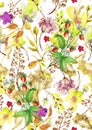 Watercolor seamless pattern, background with a floral pattern. Beautiful vintage drawings of plants, flowers,willow branch, berry Royalty Free Stock Photo
