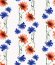 Watercolor seamless pattern with beautiful vertical garland of wild blue cornflowers and red poppies