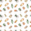 Watercolor seamless pattern with beetles, rhinoceros beetle, ladybug, colorado beetle on white background Royalty Free Stock Photo