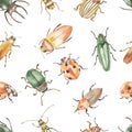 Watercolor seamless pattern with beetles, rhinoceros beetle, ladybug, colorado beetle on white background Royalty Free Stock Photo