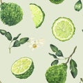 Watercolor seamless pattern with bergamot elements. Hand drawn background with flowers, leaves and fruit in green colors