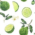 Watercolor seamless pattern with bergamot elements. Hand drawn background with flowers, leaves and fruit in green colors