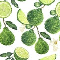 Watercolor seamless pattern with bergamot elements. Hand drawn background with flowers, leaves and fruit in green colors