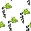 watercolor seamless pattern with berries of black currant Royalty Free Stock Photo