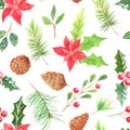 Watercolor seamless pattern with berries and cones Royalty Free Stock Photo