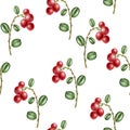 watercolor seamless pattern with berries of lingonberry