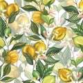 Watercolor seamless pattern with blooming lemons and lime branch with leaves, pink flowers and green lemon. Hand painted Royalty Free Stock Photo