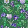 Watercolor seamless pattern with blue aquilegia and pasque spring flowers. Royalty Free Stock Photo