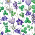 Watercolor seamless pattern with blue aquilegia and pasque spring flowers. Royalty Free Stock Photo