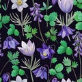 Watercolor seamless pattern with blue aquilegia and pasque spring flowers. Royalty Free Stock Photo