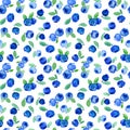 Watercolor seamless pattern with blue blueberries. Royalty Free Stock Photo