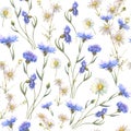 Watercolor seamless pattern with blue field flowers, Cornflower herb, chamomile, and forget me not, drawing by Royalty Free Stock Photo