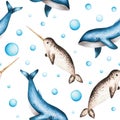 Watercolor seamless pattern with blue whales and narwhal isolated on white background. Hand painting realistic Arctic