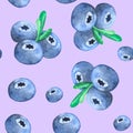 Watercolor seamless pattern with blueberries with green leaves on pale violet background