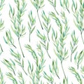 Watercolor seamless pattern botanical branches