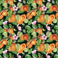 Watercolor seamless pattern of branch with apricot, green leaves isolated on black. Painting fruit tree, fruitage hand