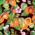 Watercolor seamless pattern of branch with apricot, green leaves isolated on dark. Painting fruit tree, fruitage hand