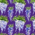 watercolor seamless pattern with branch of wisteria blossom flowers, hand drawn illustration with spring lilac flowers