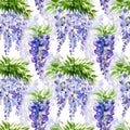 watercolor seamless pattern with branch of wisteria blossom flowers, hand drawn illustration with spring lilac flowers