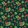 Watercolor seamless pattern with Brier leaves and berries. Autumn illustration isolated on dark background