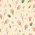 Watercolor seamless pattern with buds of rose Royalty Free Stock Photo